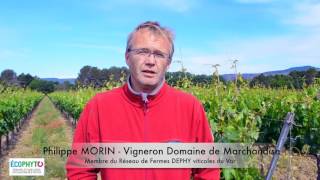 Observation au vignoble - Chambre d&#039;agriculture du Var